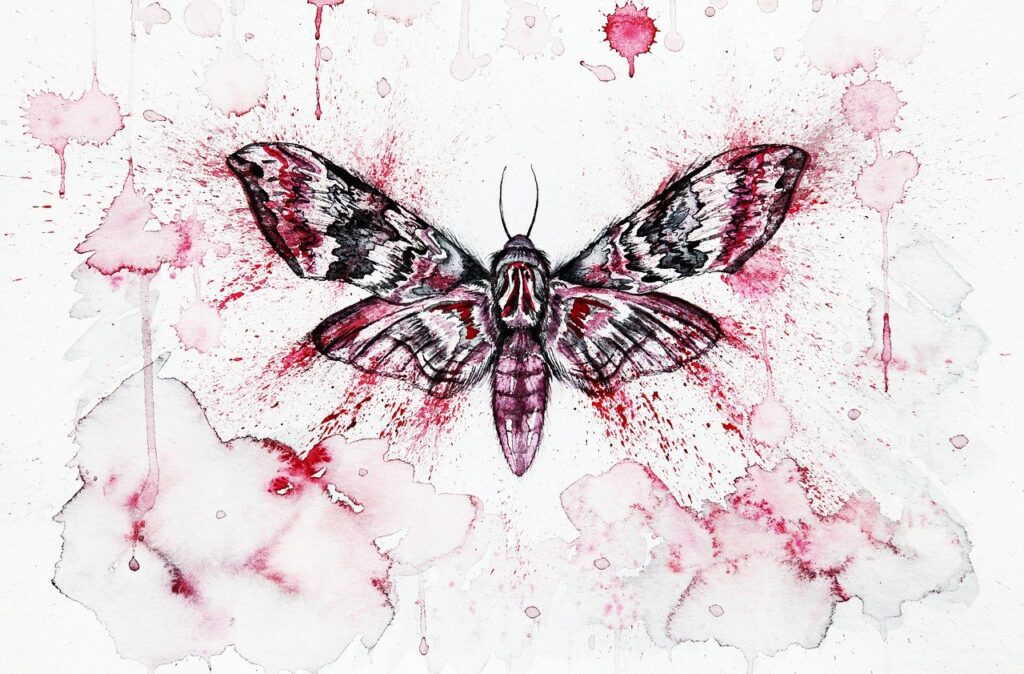 insect, moth, watercolor-4500348.jpg